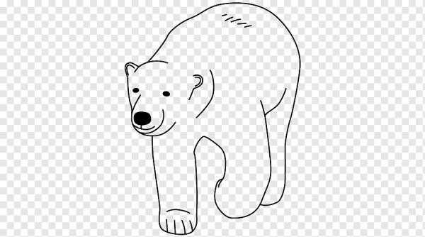 Белый мишка контур