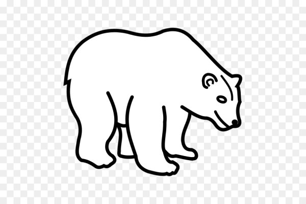 Контур медведя бесцветный