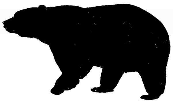 Силуэт идущего медведя