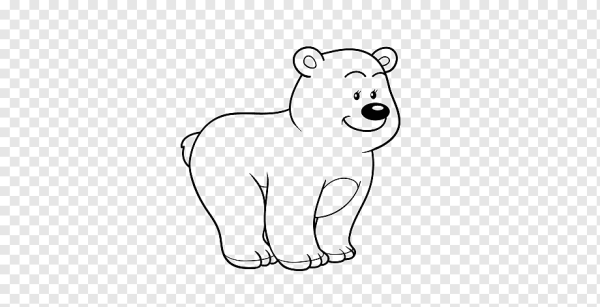 Белый мишка контур