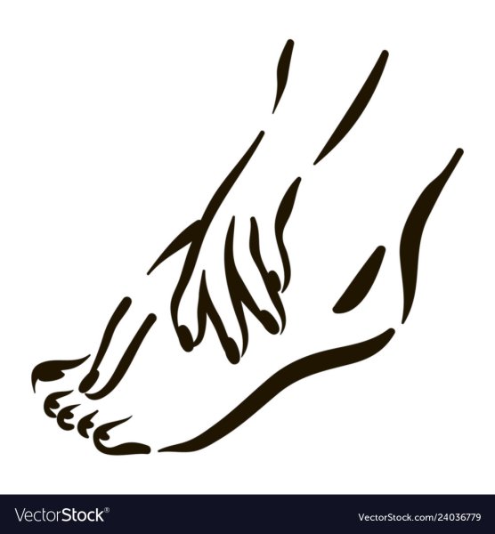 Ножки педикюр силуэт