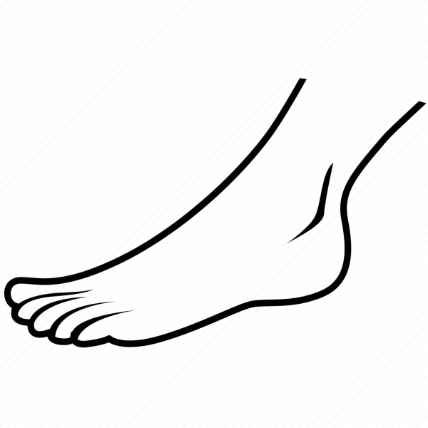 Стопы ног вектор