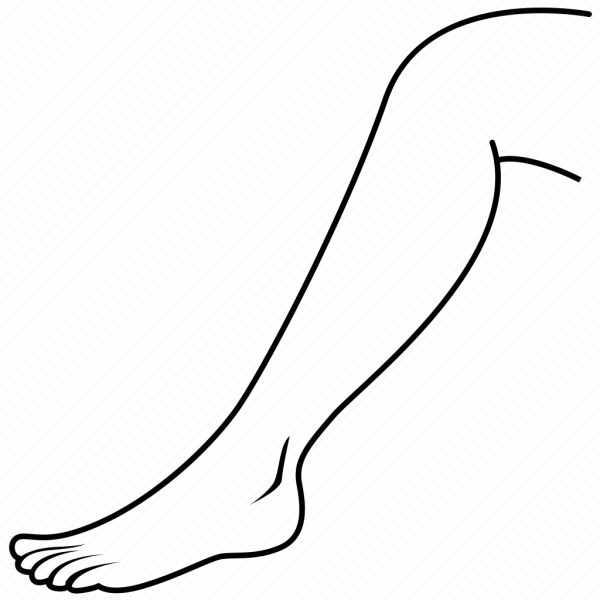 Контур ноги