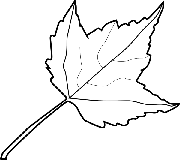 Листья рисунок