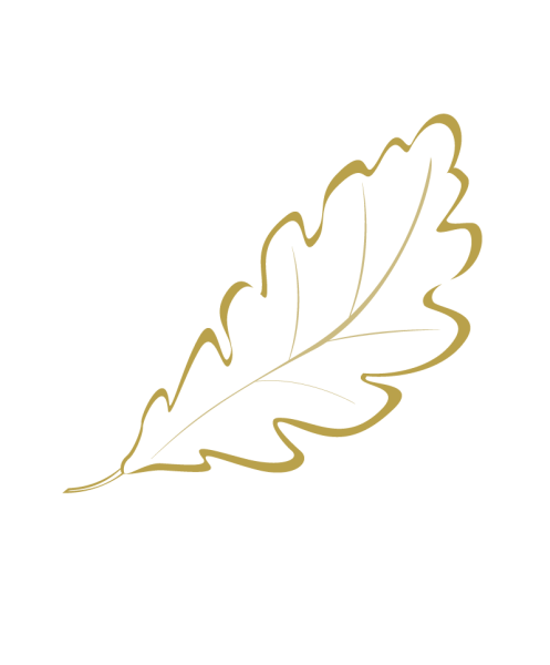 Дубовый лист контур