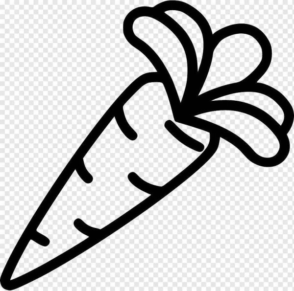 Морковь контур