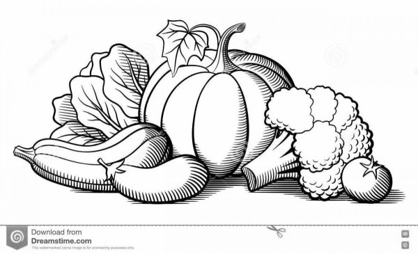 Натюрморт овощи раскраска