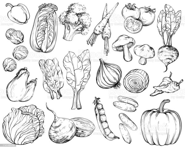 Векторные овощи контурные