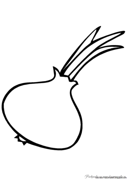 Лук раскраска