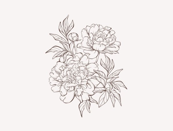 Контурные цветы