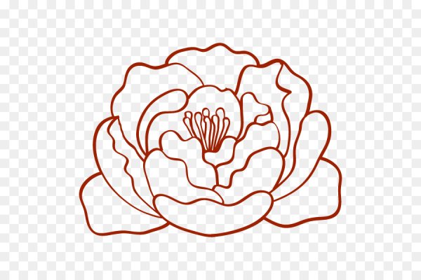 Пион векторный контурный