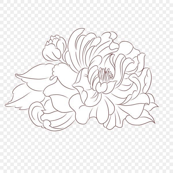 Пион одной линией