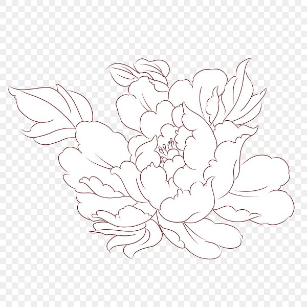 Пионы контур