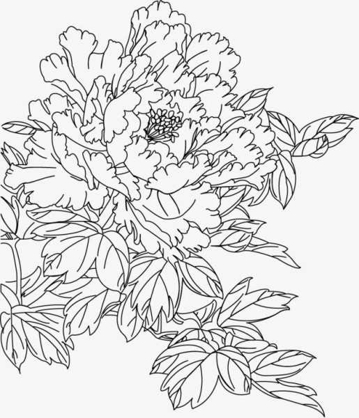 Трафарет "пионы"