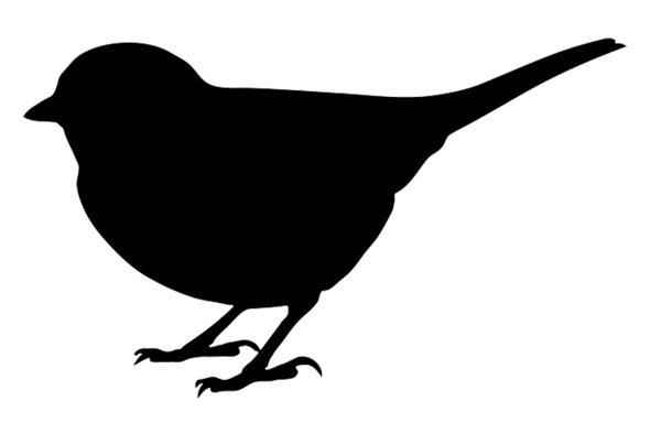 Силуэт птицы