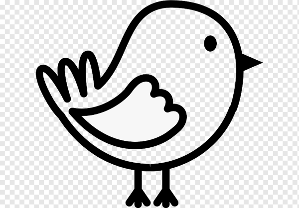 Птички контур на белом фоне