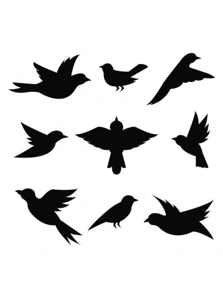 Силуэт птицы в полете