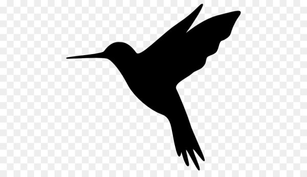Силуэт птицы на прозрачном фоне