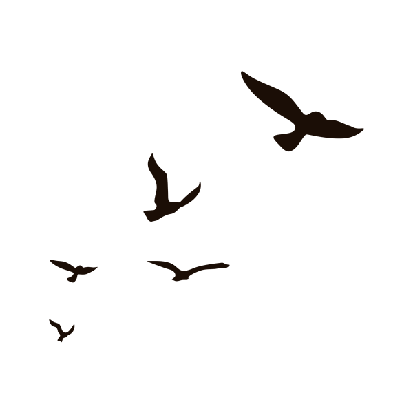 Силуэт улетающих птиц