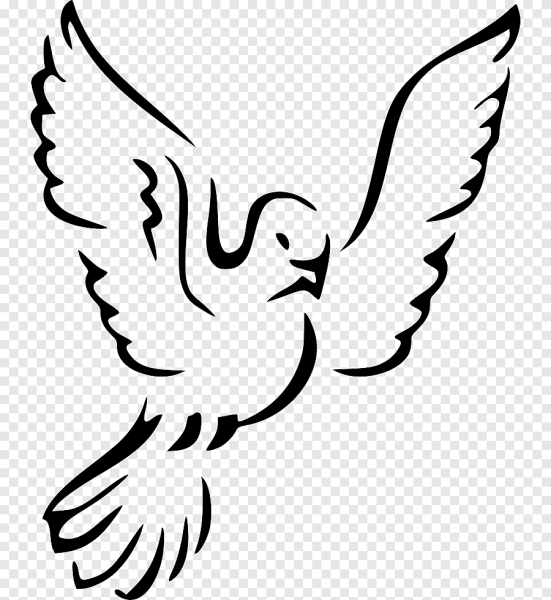 Голубь символ