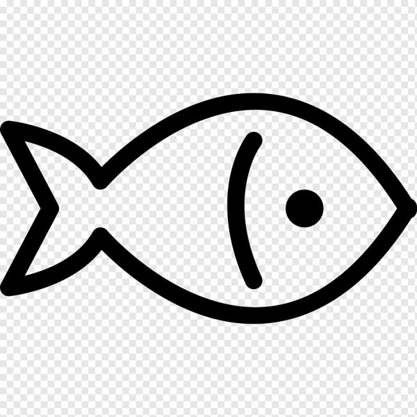 Схематичное изображение рыбы