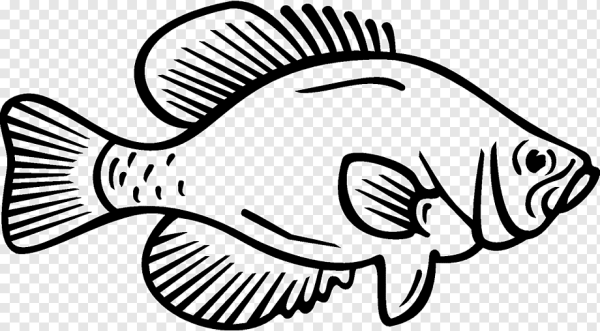 Рыба контур