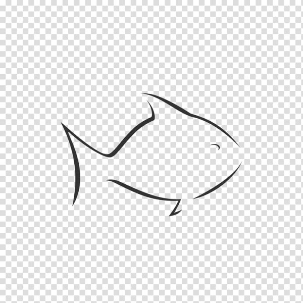 Контур рыбки на прозрачном фоне
