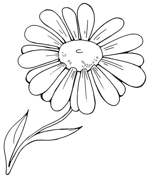 Ромашка раскраска