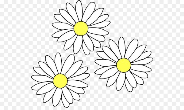 Ромашка рисунок