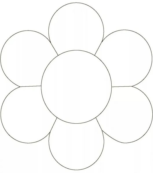 Цветы контур