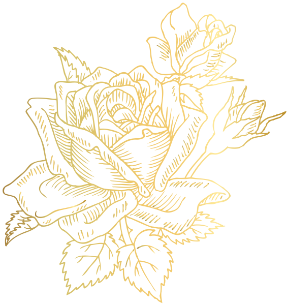 Золотые цветы на прозрачном фоне