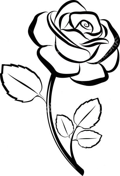 Роза раскраска