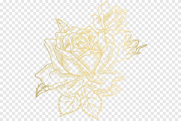 Контур цветка без фона