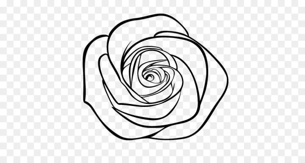 Роза вектор контур