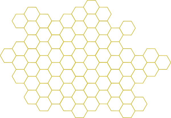 Гексагон соты