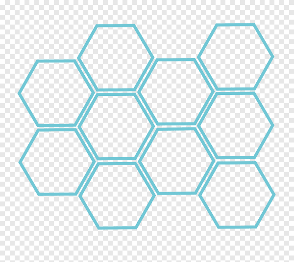 Соты прозрачные