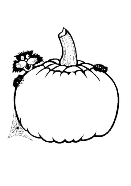 Контур тыквы без фона