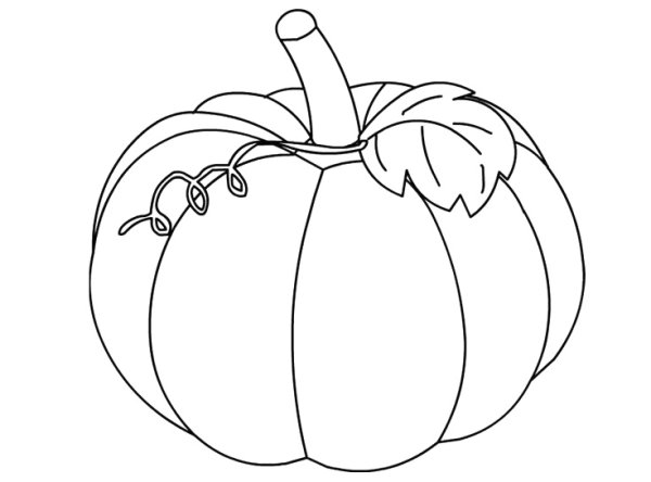 Тыква раскраска