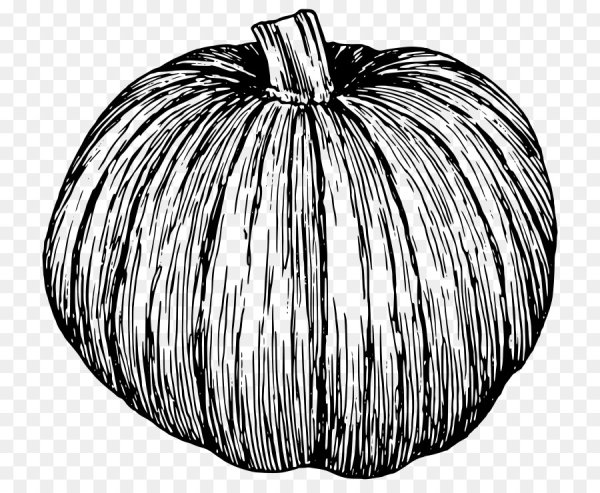 Тыква силуэт