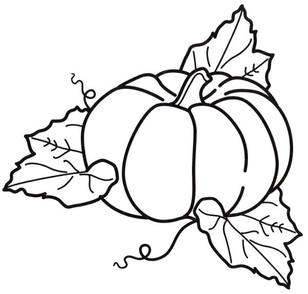Тыква картинка раскраска