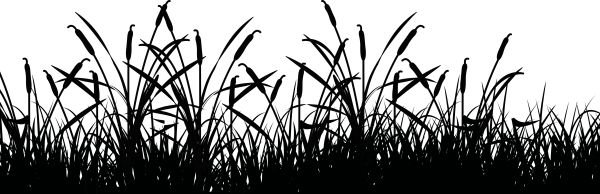 Трава вектор