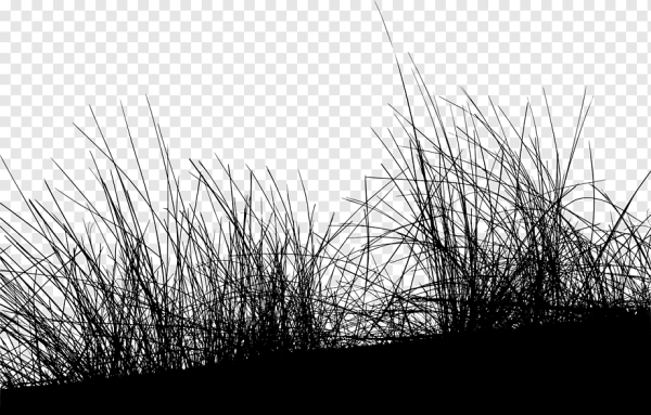 Трава Графика