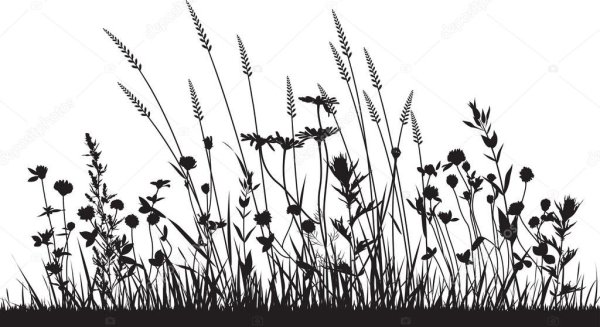 Луговая трава силуэты