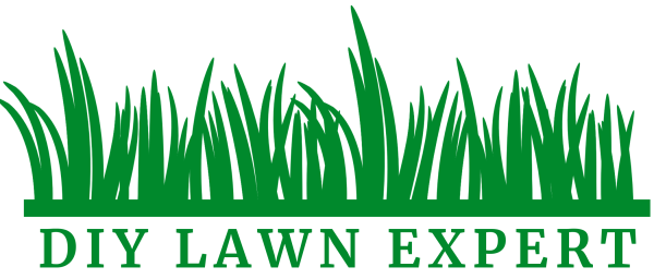 Трава рисунок