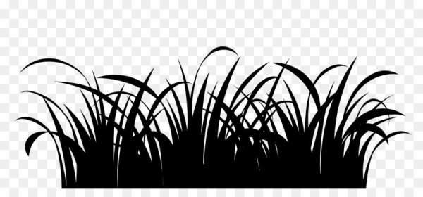 Трава рисунок