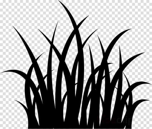 Трава силуэт черный