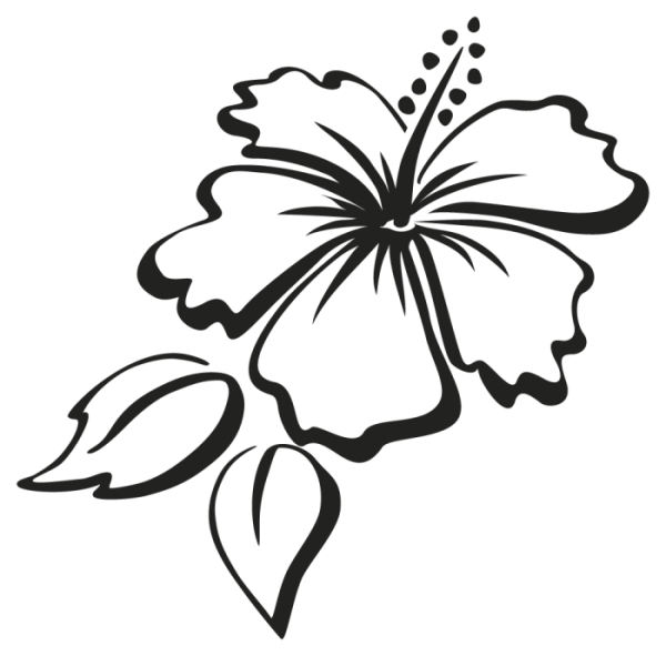 Цветок очертание рисунок