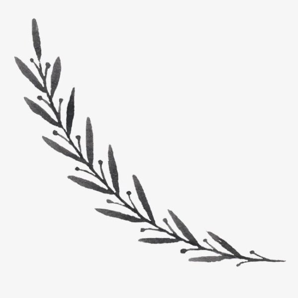 Тонкая веточка