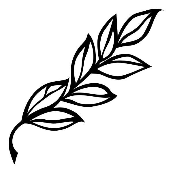 Лавровая ветвь тату эскиз