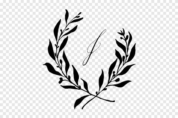 Веточка черно белая